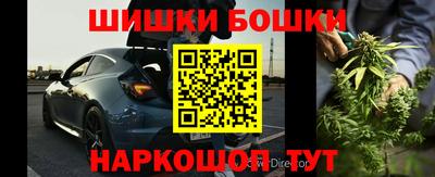 прущие крисы Славгород