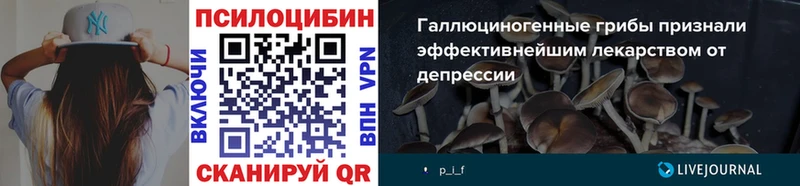 Галлюциногенные грибы Psilocybe  Уссурийск 